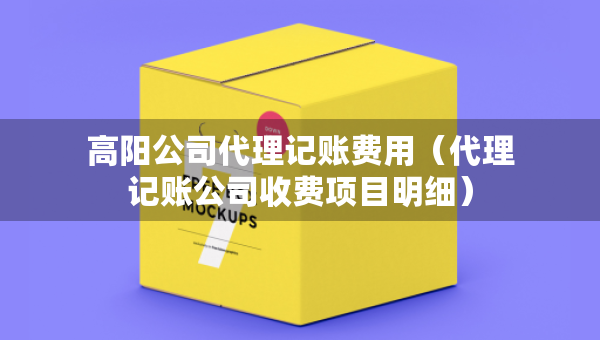 高陽(yáng)公司代理記賬費(fèi)用（代理記賬公司收費(fèi)項(xiàng)目明細(xì)）