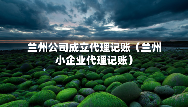 蘭州公司成立代理記賬（蘭州小企業(yè)代理記賬）