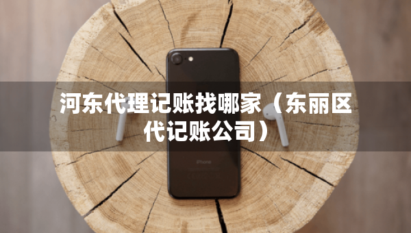 河?xùn)|代理記賬找哪家（東麗區(qū)代記賬公司）