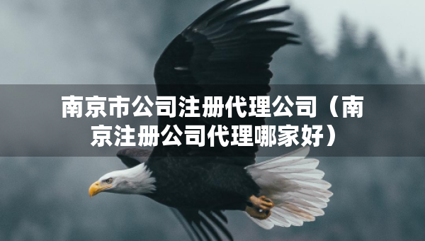 南京市公司注冊代理公司（南京注冊公司代理哪家好）