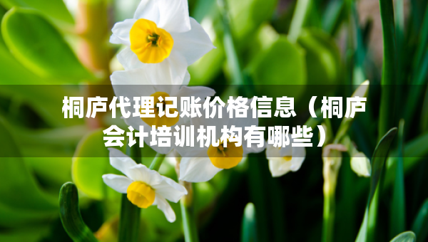桐廬代理記賬價格信息（桐廬會計培訓(xùn)機(jī)構(gòu)有哪些）