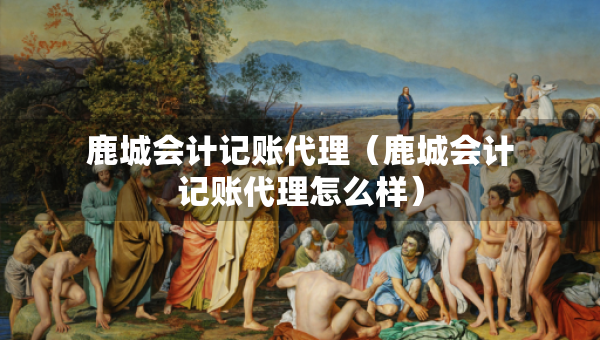 鹿城會計記賬代理（鹿城會計記賬代理怎么樣）