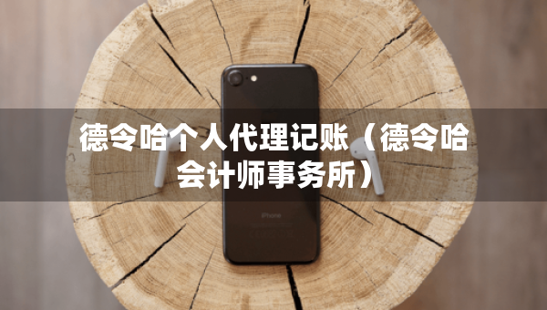 德令哈個人代理記賬（德令哈會計師事務(wù)所）