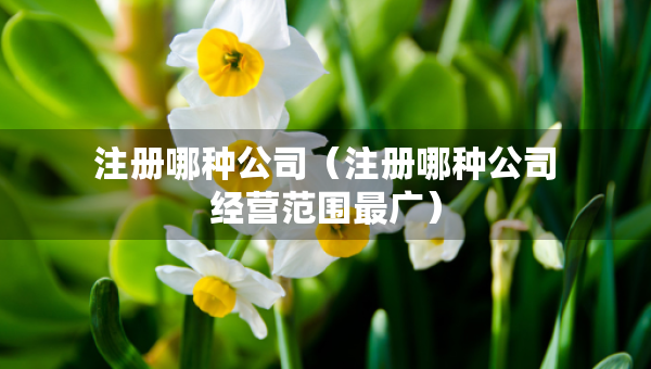 注冊哪種公司（注冊哪種公司經(jīng)營范圍最廣）