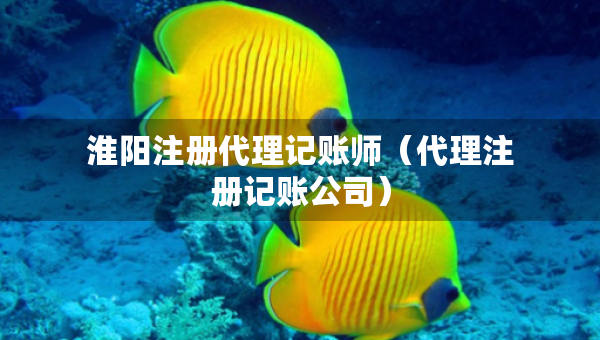 淮陽注冊代理記賬師（代理注冊記賬公司）