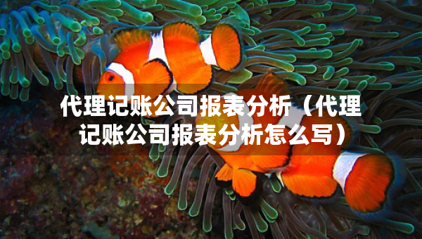 代理記賬公司報表分析（代理記賬公司報表分析怎么寫）