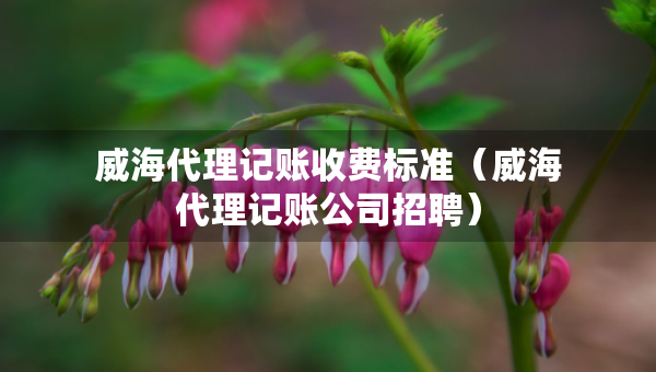 威海代理記賬收費(fèi)標(biāo)準(zhǔn)（威海代理記賬公司招聘）
