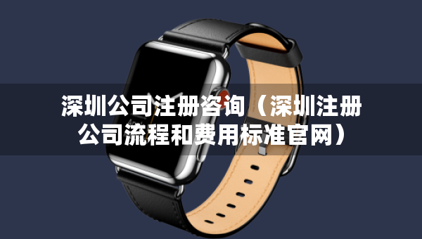 深圳公司注冊咨詢（深圳注冊公司流程和費用標準官網(wǎng)）