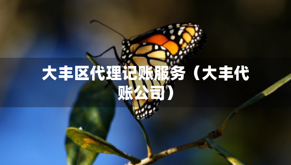 大豐區(qū)代理記賬服務(wù)（大豐代賬公司）