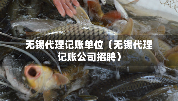 無錫代理記賬單位（無錫代理記賬公司招聘）
