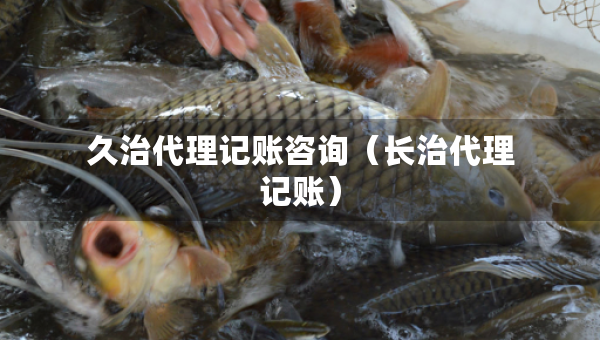久治代理記賬咨詢（長(zhǎng)治代理記賬）