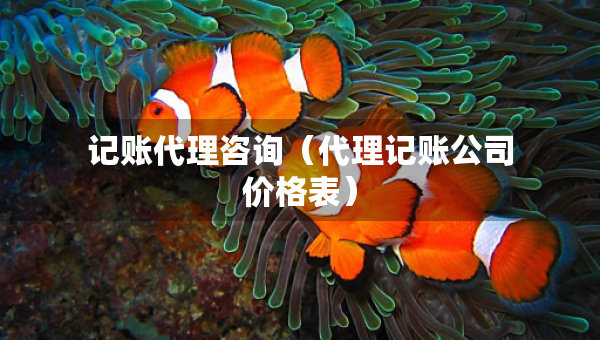 記賬代理咨詢（代理記賬公司價格表）