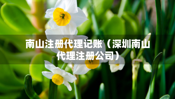 南山注冊代理記賬（深圳南山代理注冊公司）