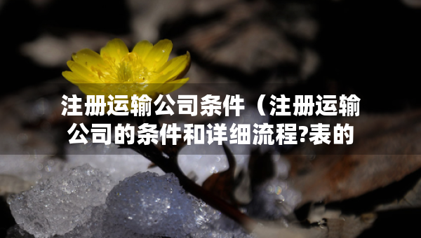 注冊運輸公司條件(注冊運輸公司的條件和詳細(xì)流程?表的) 注冊運輸公司條件(注冊運輸公司的條件和詳細(xì)流程?表的)