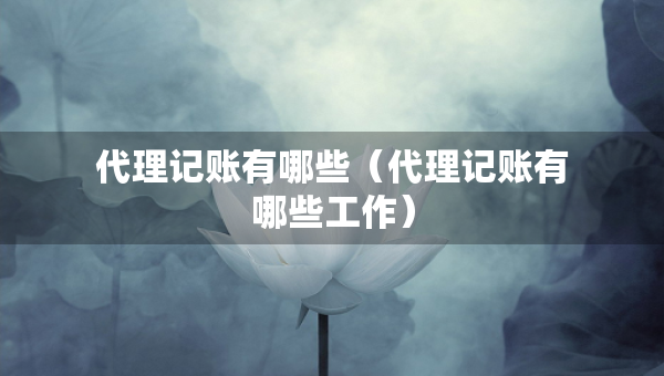 代理記賬有哪些（代理記賬有哪些工作）