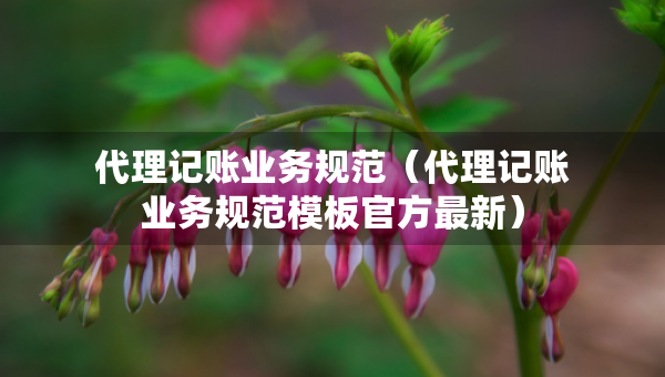 代理記賬業(yè)務規(guī)范（代理記賬業(yè)務規(guī)范模板官方最新）