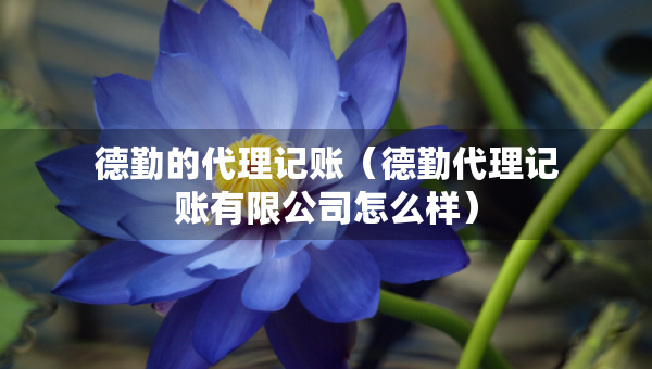 德勤的代理記賬(德勤代理記賬有限公司怎么樣) 德勤的代理記賬(德勤代理記賬有限公司怎么樣)