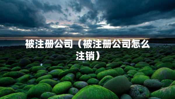 被注冊公司（被注冊公司怎么注銷）