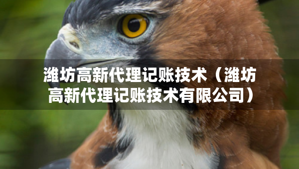 濰坊高新代理記賬技術(shù)(濰坊高新代理記賬技術(shù)有限公司) 濰坊高新代理記賬技術(shù)(濰坊高新代理記賬技術(shù)有限公司)