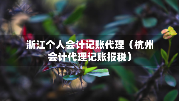 浙江個人會計記賬代理(杭州會計代理記賬報稅) 浙江個人會計記賬代理(杭州會計代理記賬報稅)