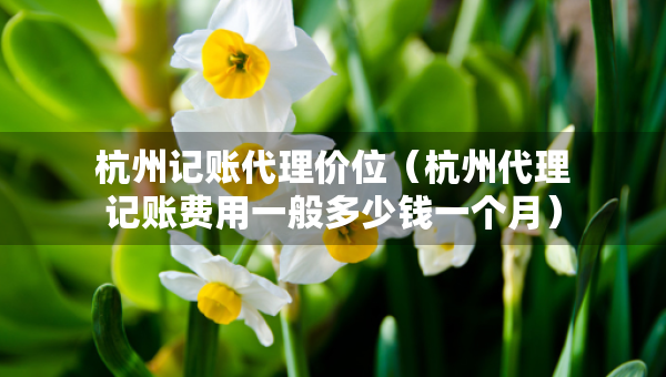 杭州記賬代理價(jià)位(杭州代理記賬費(fèi)用一般多少錢一個(gè)月) 杭州記賬代理價(jià)位(杭州代理記賬費(fèi)用一般多少錢一個(gè)月)