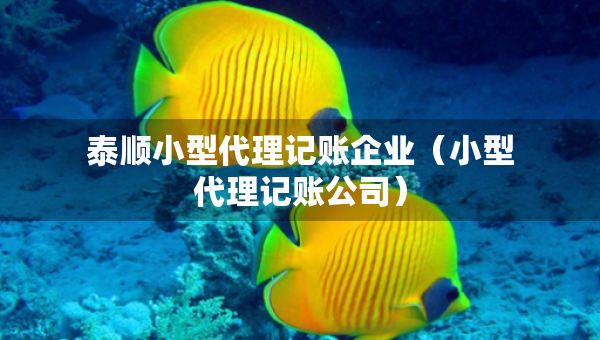 泰順小型代理記賬企業(yè)（小型代理記賬公司）