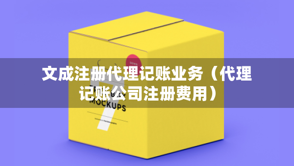 文成注冊代理記賬業(yè)務(wù)（代理記賬公司注冊費用）
