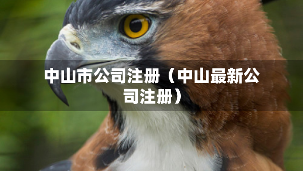 中山市公司注冊（中山最新公司注冊）
