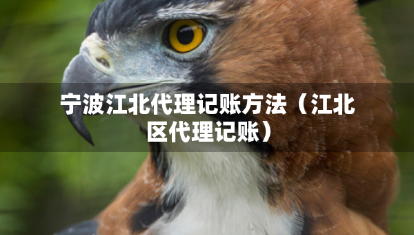 寧波江北代理記賬方法（江北區(qū)代理記賬）