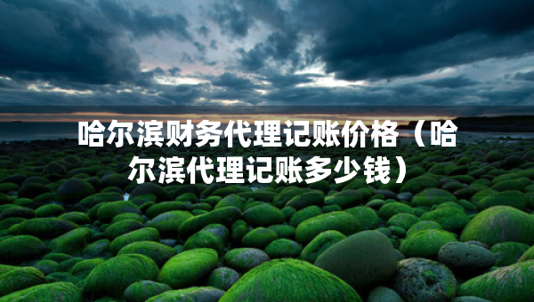哈爾濱財(cái)務(wù)代理記賬價(jià)格（哈爾濱代理記賬多少錢）