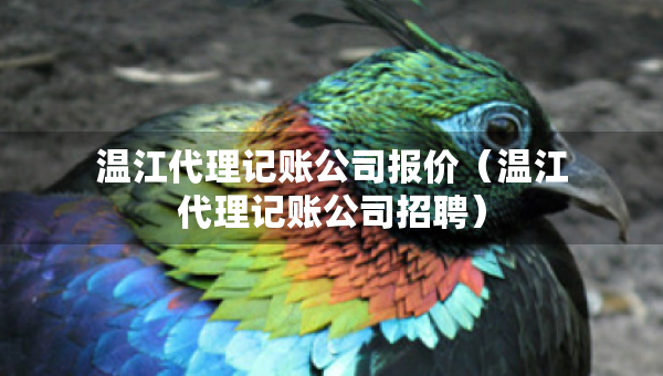 溫江代理記賬公司報(bào)價(jià)（溫江代理記賬公司招聘）