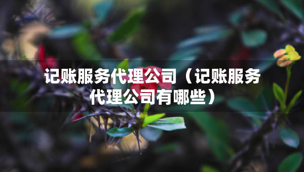 記賬服務(wù)代理公司（記賬服務(wù)代理公司有哪些）
