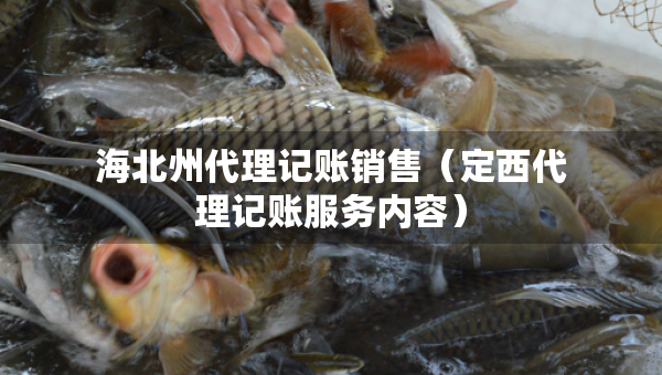 海北州代理記賬銷售（定西代理記賬服務(wù)內(nèi)容）