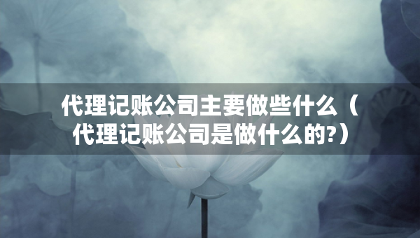 代理記賬公司主要做些什么（代理記賬公司是做什么的?）