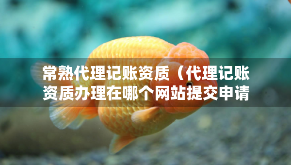 常熟代理記賬資質(zhì)（代理記賬資質(zhì)辦理在哪個(gè)網(wǎng)站提交申請(qǐng)）