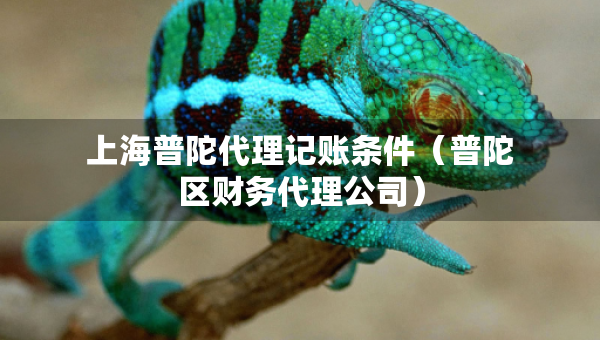 上海普陀代理記賬條件（普陀區(qū)財務代理公司）