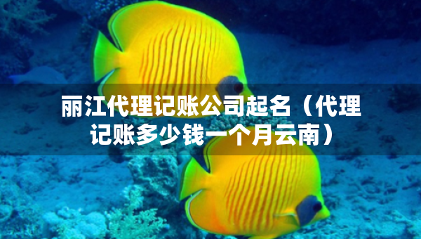 麗江代理記賬公司起名（代理記賬多少錢(qián)一個(gè)月云南）