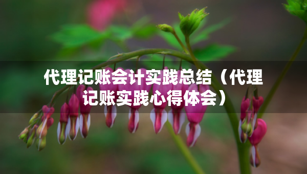 代理記賬會(huì)計(jì)實(shí)踐總結(jié)（代理記賬實(shí)踐心得體會(huì)）