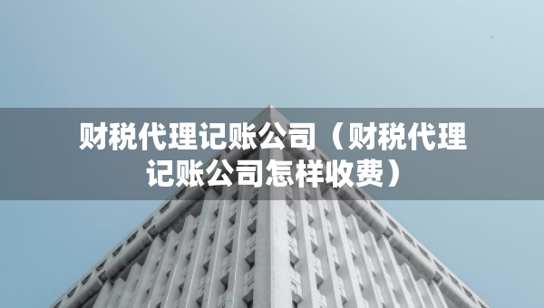 財(cái)稅代理記賬公司（財(cái)稅代理記賬公司怎樣收費(fèi)）