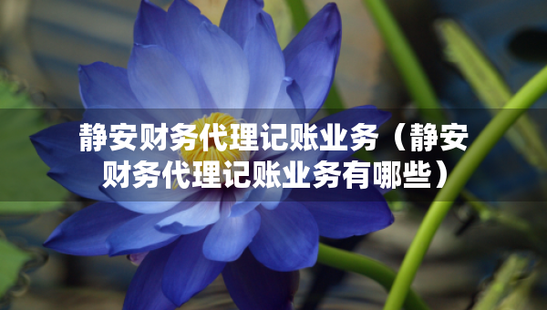 靜安財(cái)務(wù)代理記賬業(yè)務(wù)（靜安財(cái)務(wù)代理記賬業(yè)務(wù)有哪些）