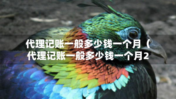 代理記賬一般多少錢一個月（代理記賬一般多少錢一個月2023）