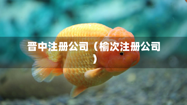 晉中注冊(cè)公司(榆次注冊(cè)公司) 晉中注冊(cè)公司(榆次注冊(cè)公司)