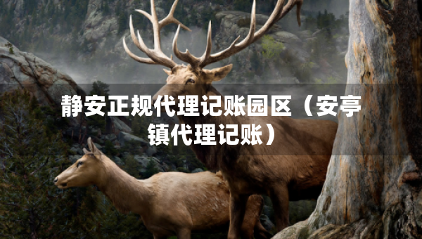 靜安正規(guī)代理記賬園區(qū)（安亭鎮(zhèn)代理記賬）