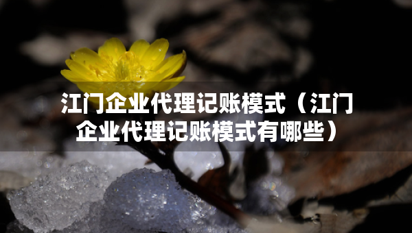 江門企業(yè)代理記賬模式（江門企業(yè)代理記賬模式有哪些）