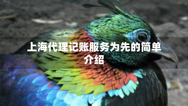 上海代理記賬服務(wù)為先的簡單介紹