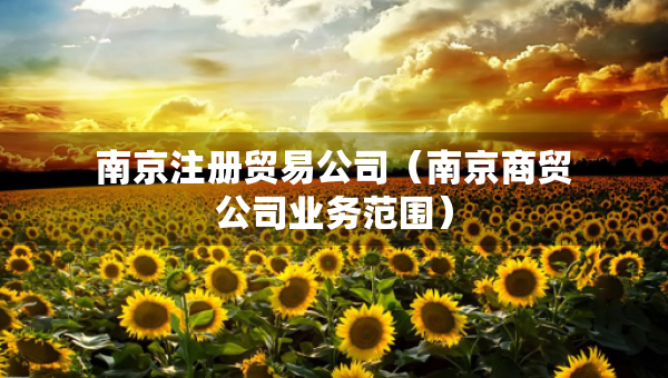 南京注冊(cè)貿(mào)易公司（南京商貿(mào)公司業(yè)務(wù)范圍）