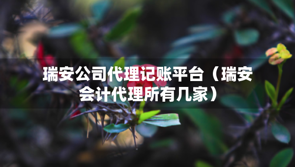 瑞安公司代理記賬平臺（瑞安會計代理所有幾家）