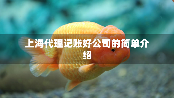 上海代理記賬好公司的簡單介紹