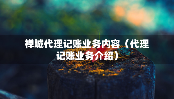 禪城代理記賬業(yè)務(wù)內(nèi)容（代理記賬業(yè)務(wù)介紹）