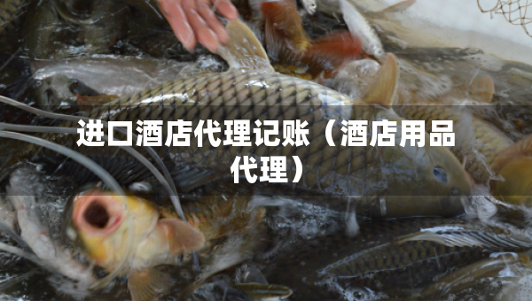 進口酒店代理記賬（酒店用品代理）